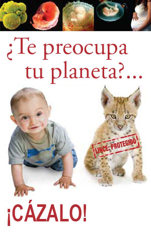 cartelote