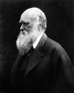 477px-Charles_Darwin_by_Julia_Margaret_Cameron_2